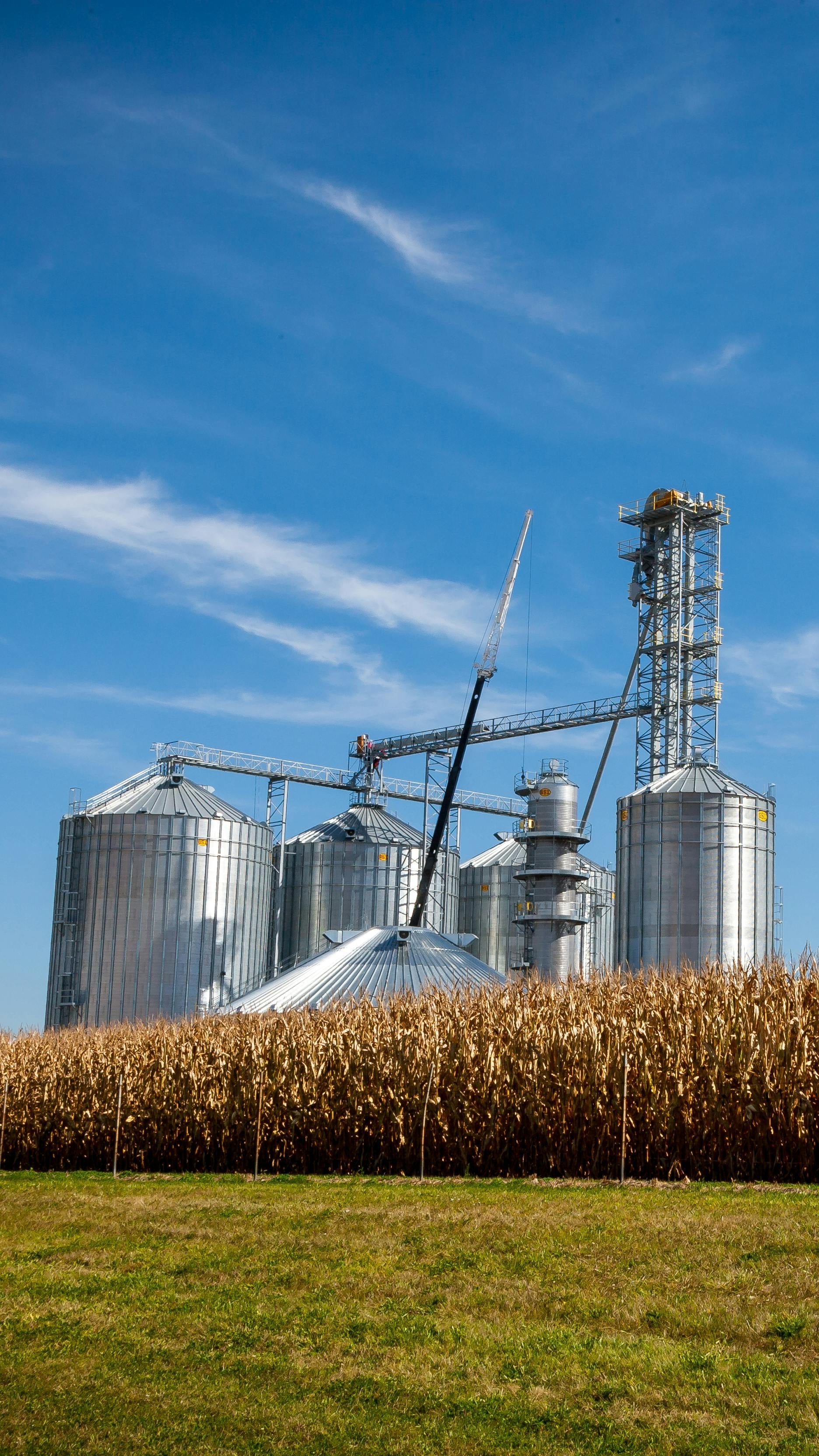 Bulk Handling Facilities
